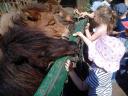 Wycieczka 3-latków do Mini Zoo